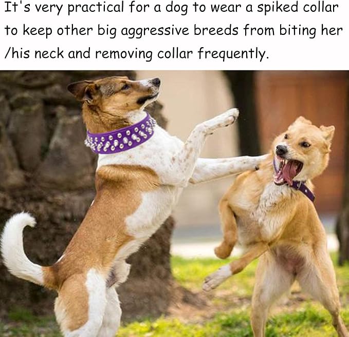 TEEMERRYCA Adjustable PU Leather Spiked Studded Dog Collars with a Squeak Ball Gift for Small Medium Large Pets Like Cats/Pit Bull/Bulldog/Pugs/Husky, Purple, XS 8.3"-10.6"