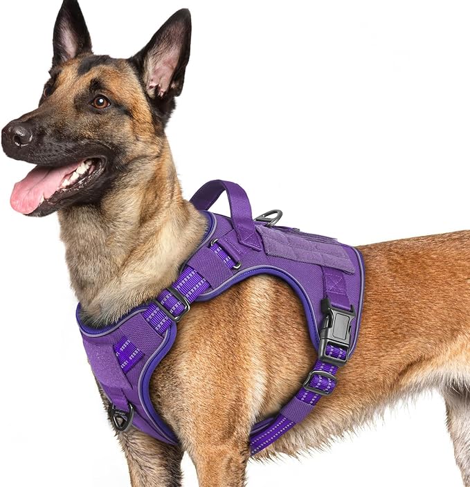 rabbitgoo Tactical Dog Harness for Large Dogs No Pull Adjustable Military Vest with Handle MOLLE Reflective Heavy Duty Dog Vest for Walking Training Hunting Outdoor Working Medium Size Dog Purple L