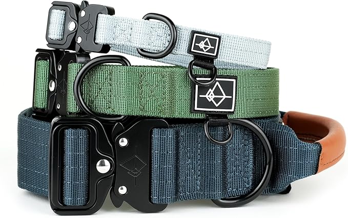 Made to ROAM Premium Dog Collar - Adjustable Heavy Duty Nylon Collar with Quick-Release Metal Buckle (New York Afterlight, Classic Size 3)