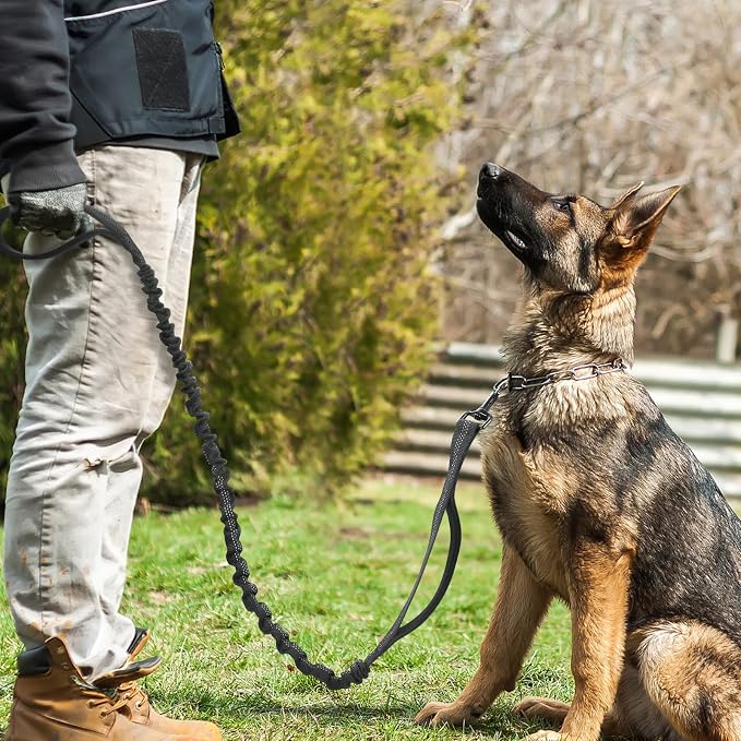 rabbitgoo Tactical Bungee Dog Leash with Shock Absorption, Military Training Leash with 2 Padded Control Handles for Medium Large Dogs, 6FT, Black