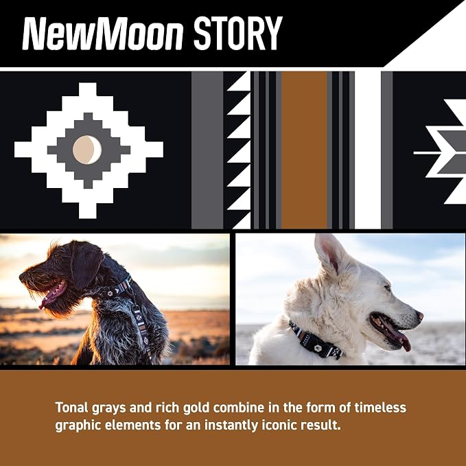 Wolfgang Heavy Duty, Adjustable Dog Collar with Quick Release Nylon Buckle for Walking & Training, NewMoon Print, Medium