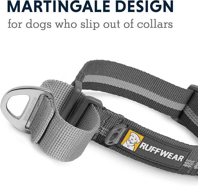 Ruffwear, Web Reaction Dog Collar, Escape-Proof Security Buckle, Adjustable Anti-Slip Martingale Collar with Durable Nylon Tubelok Webbing & Silent ID Attachment, Granite Gray, 23"-26"