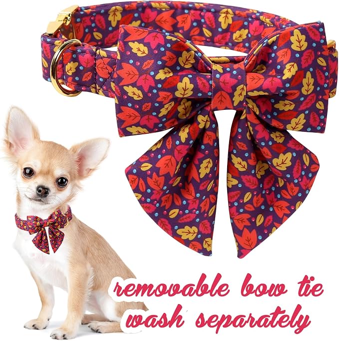 Unique style paws Cartoon Dog Collar with Bowtie Autumn Puppy Collar with Colorful Maple Leaf for Small Medium Large Boys Girls Dogs