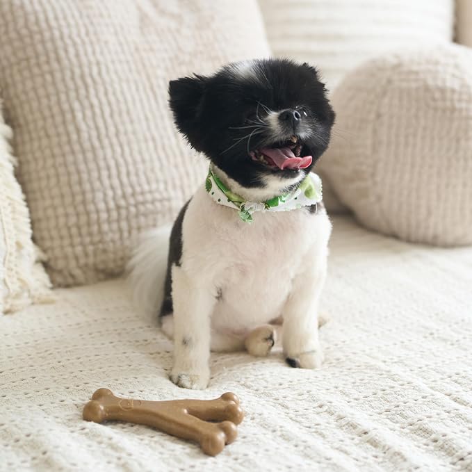 SPOT Bam-Bones Wishbone Dog Chew Toy, Bamboo Fiber Blend, Non-Splintering Durable Chew for Light to Moderate Chewers, Adult Dogs & Teething Puppies 10–30 lbs, Chicken Flavor, 5.25 in