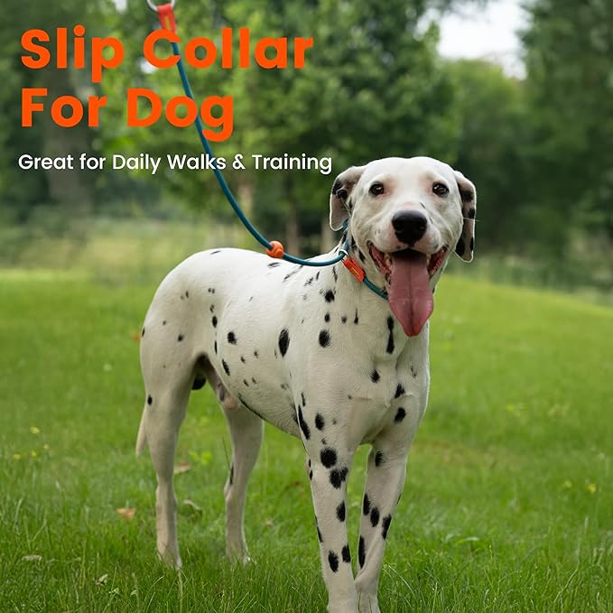 HowGo Slip Collar for Dogs,No Pull Adjustable Martingale Collar for Training, Nylon Rope,Dual Stopper and Durable Aluminum Hardware,Spring-Loaded,for Small Medium Large Dogs(Blue)