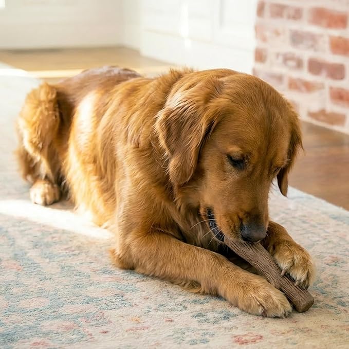 Pupstages Dogwood Dog Chew Toy, Made in the USA – Real-Wood Blend, Natural Flavor & Texture, Moderate Chewers, Large, 8"
