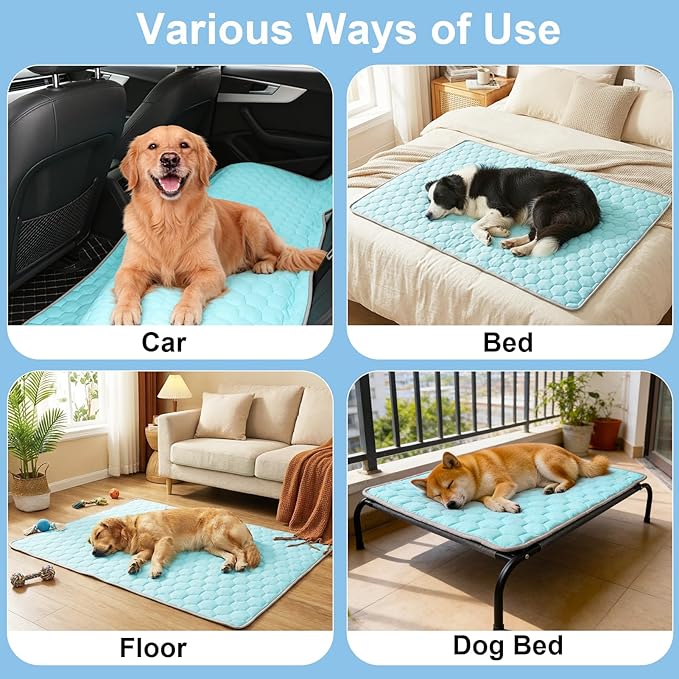 Vivifying Cooling Mat for Dogs, 60 x 40 Inch Waterproof Reversible Pet Cooling Blanket with Ice Silk & Soft Velvet, Year-Round Pet Pad for Large Dogs, Couch, Bed, Crate, Floor, Car Seat (Blue&Grey)