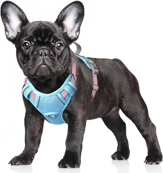 BARKBAY No Pull Dog Harness Large Reflective Dog Harness with Front Clip and Easy Control Handle for Walking Training Running with ID tag Pocket(Baby Blue & Baby Pink,S)