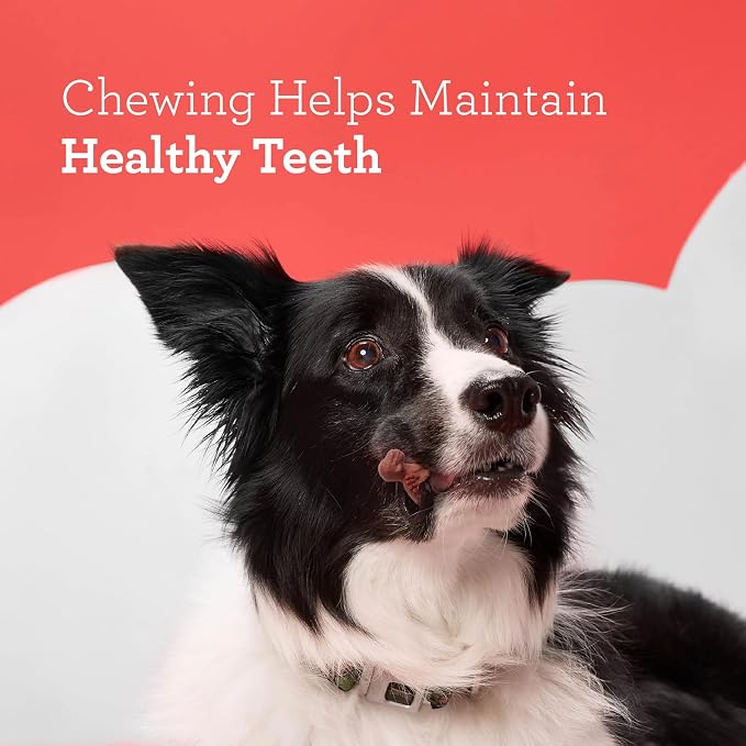 DreamBone Chicken DinoChews Dog Treats, Daily Rawhide-Free Chew, Digests Safely and Completely, With Real Protein, Chicken and Veggies, 14 count