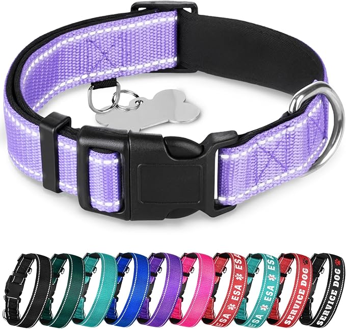 TECEUM Reflective Dog Collar – Lavender – L – Extra Soft Padding – Basic Nylon Pet Collar – Quick Release Buckle – Fits Small, Medium and Large Dogs, Puppies, Cats – ESA & Service Dog Options