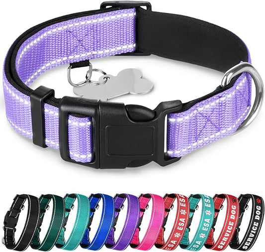 TECEUM Reflective Dog Collar – Lavender – XS – Extra Soft Padding – Basic Nylon Pet Collar – Quick Release Buckle – Fits Small, Medium and Large Dogs, Puppies, Cats – ESA & Service Dog Options