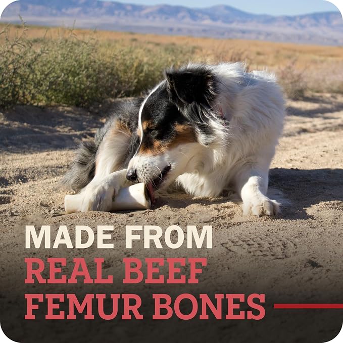 Redbarn Pet Products Large Filled Dog Bones, Cheese & Bacon Flavor - Long Lasting Stuffed Femur Chew Treat Made in USA - 4 Count - Packaging May Vary