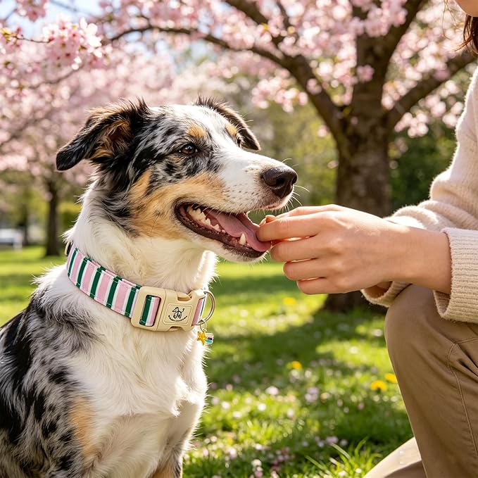 Elegant little tail Dog Collar, Cute Pink with Green Strip Pattern Pet Collars Soft Girl or Boy Adjustable Cotton Puppy Collar with Quick Release Buckle for Small Puppy