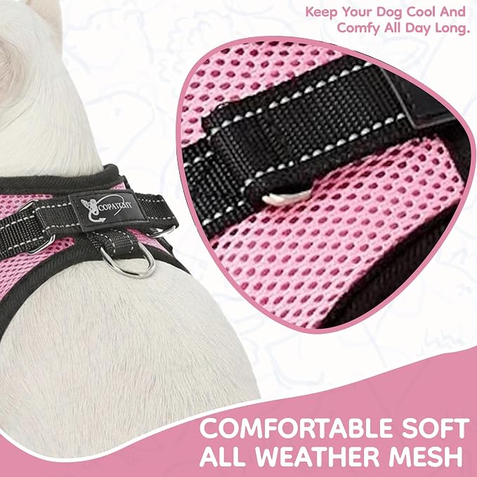 No Pull Reflective Adjustable Dog Harness With Handle- Comfortable Soft All Weather Mesh, Easy On Puppy Harness For Small Medium and Large Dogs (Pink) X-Small