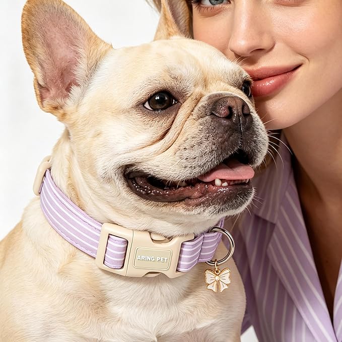 ARING PET Stripe Dog Collar, Cute Spring Summer Purple Stripe Pet Collars with Bow Charm for Puppy Small Medium Large Boy Girl Dogs, for Daily Outdoor Walking Beach Stroll-M