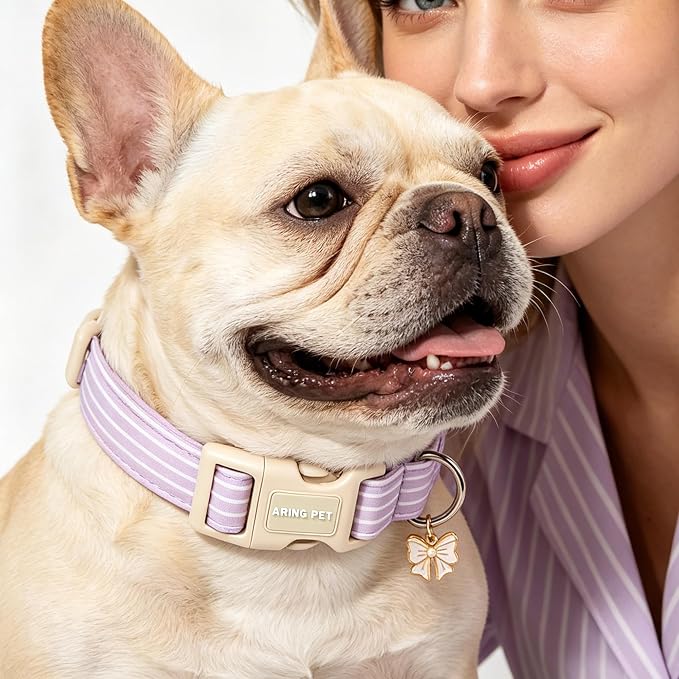 ARING PET Stripe Dog Collar, Cute Spring Summer Purple Stripe Pet Collars with Bow Charm for Puppy Small Medium Large Boy Girl Dogs, for Daily Outdoor Walking Beach Stroll-L