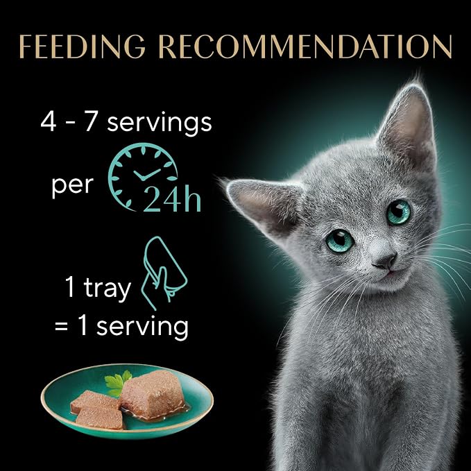 Sheba Perfect Portions Kitten Wet Food,Pate Cat Food Wet Entree,Chicken Recipe and Salmon Recipe,2.6 oz. -Pack Trays (,24 Servings),12 Count (Pack of 4)