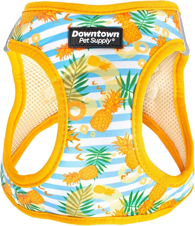 Downtown Pet Supply Step-in Dog Harness – No Pull, Adjustable Padded Mesh with Reflective Trim, Secure Buckle Strap – Comfortable & Breathable Small Dog Harness, Medium, Pineapple