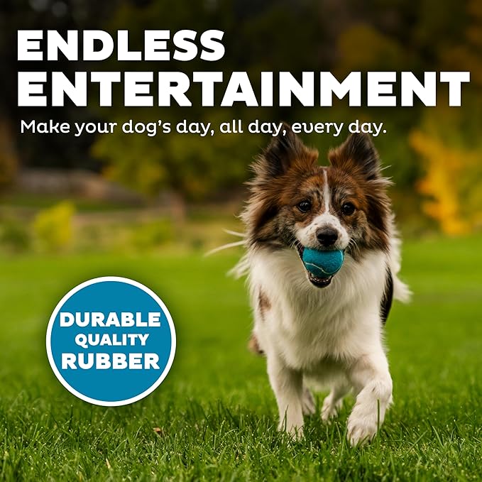 Outward Hound Squeaker Ballz – Squeaky Tennis Balls for Dogs Under 25 lbs, Interactive Dog Toy for Fetch & Training, Small (2"), 8‑Pack