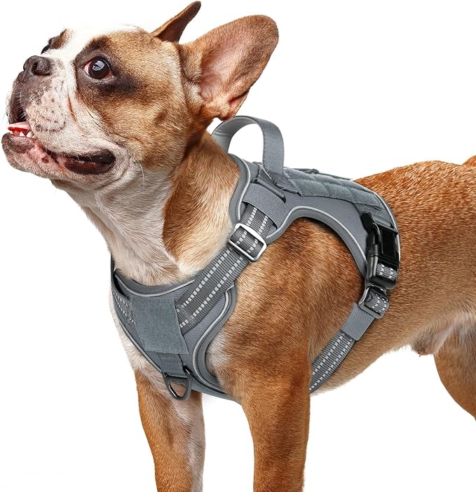 rabbitgoo Tactical Dog Harness for Small Dogs No Pull Adjustable Military Vest with Handle MOLLE Reflective Heavy Duty Dog Vest for Walking Training Hunting Outdoor Working Medium Size Dog Grey S