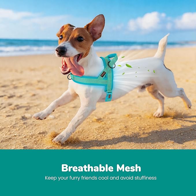 Didog No Pull Dog Harness with Breathable Mesh Padded, Full Reflective & Quick Fit Adjustable Vest Harness, Easy for Training Walking for Small & Medium and Large Dogs (Green, S:Chest 18-22")