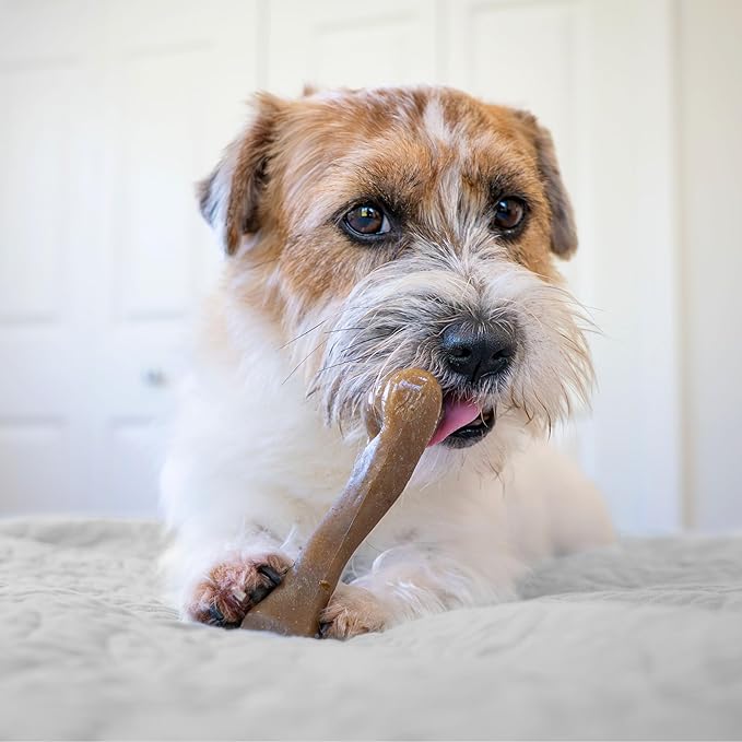 Nylabone Strong Chew Femur Bone Dog Toy Made with Real Bison & Venison, Durable Chew Toys for Aggressive Chewers, Long Lasting Dog Bone, Keeps Dogs Busy, Small Breeds - Up to 25 lbs