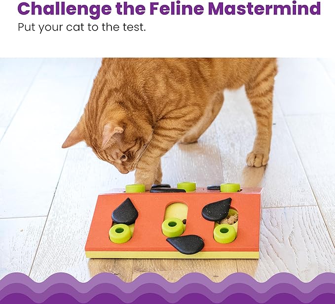 Catstages Nina Ottosson Melon Madness Puzzle & Play Cat Puzzle Feeder – Interactive Treat Game for Indoor Cats, Level 2 Slow Feeder Enrichment Toy, 10.5" x 10.6"