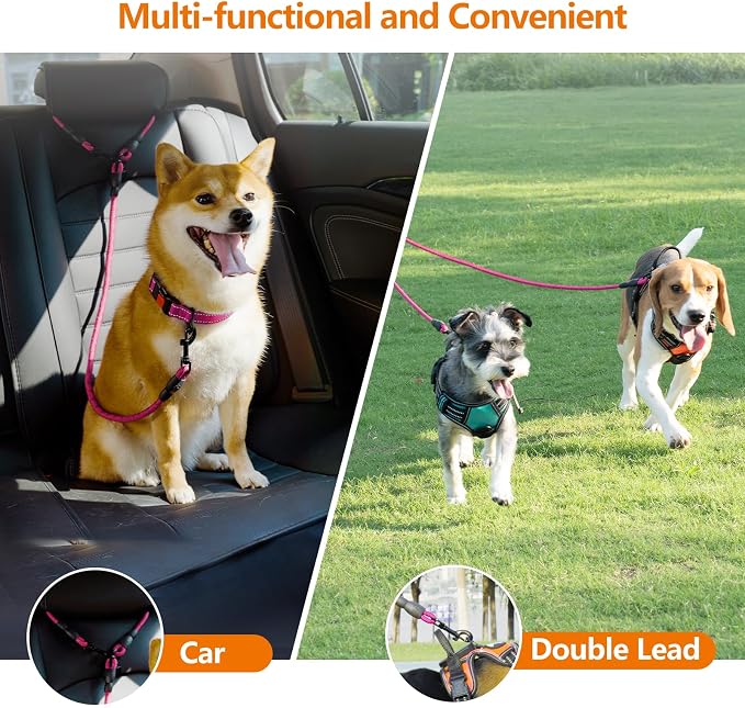 Taglory Double Dog Leash Coupler for Two Dogs, 1/3" Lightweight Dual Leash Extension for Small and Medium Dogs, No Tangle 360° Swivel, Reflective Rope, 30 Inch, Pink