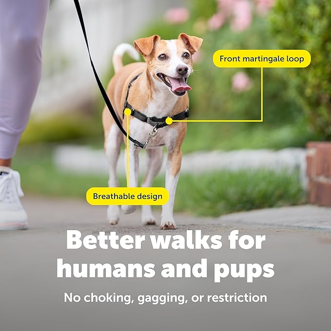 PetSafe Easy Walk No-Pull Dog Harness - Ultimate Harness to Help Stop Pulling - Pull-Free Walks - Take Control & Teach Better Leash Manners - Patented Martingale Loop Design - Black, Petite