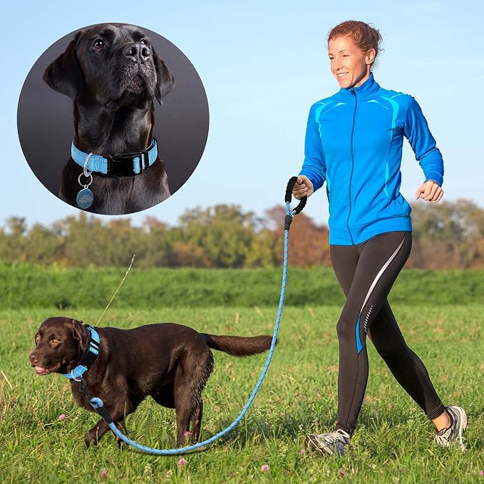 Ladoogo Reflective Dog Collar Padded with Soft Neoprene Breathable Adjustable Nylon Dog Collars for Small Medium Large Dogs (X-Small (Pack of 1), Vivid Blue Collar+Leash)