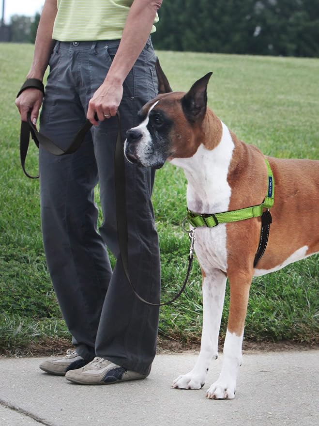 PetSafe Easy Walk Deluxe Dog Harness, No Pull Dog Harness Perfect for Leash & Harness Training Stops Pets from Pulling and Choking on Walks Medium/Large, Apple