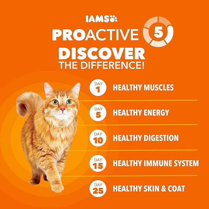 IAMS Proactive Health Dry Cat Food, Healthy Cat Food Dry Recipe for Adults, Salmon, 3.5 lb. Bag