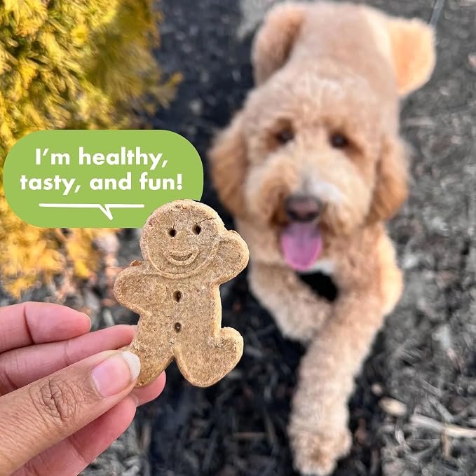 Buddy Biscuits Grain Free Crunchy Treats with Roasted Chicken - 14 oz.
