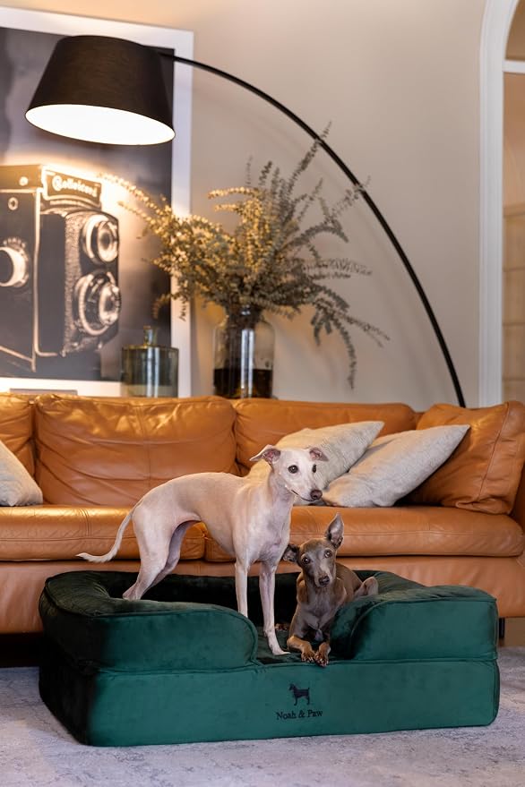 NOAH & PAW Large Dog Bed, 35x25x11 Inch, Orthopedic Dog Beds, Eggshell Memory Foam Infused with Cooling Gel, Inner Cover, Water Resistant, Machine Washable (Velvet Sofa Collection)