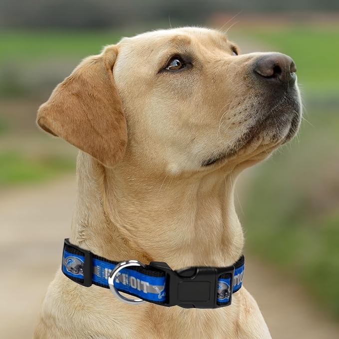 Pets First NFL Detroit Lions Licensed PET COLLAR, Small - Heavy-Duty, Strong, and Durable Dog Collar. Available in 31 Football Teams and 4 Sizes