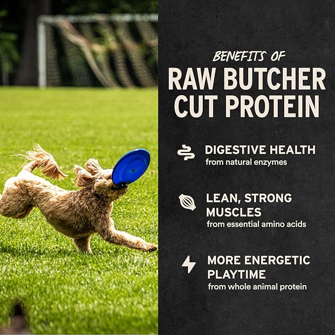 Vital Essentials Freeze Dried Dog Treats | Duck Bites, Single Protein | Premium Quality | Grain Free Training Treats for Dogs, 5.5 oz Bag