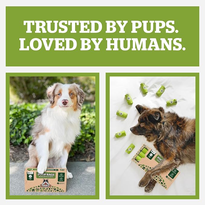 Pogi's Compostable Poop Bags – Leak-Proof, Extra-Large, Made with Plants – 32 Rolls (480 Bags)