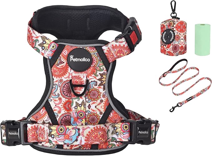 Petmolico No Pull Dog Harness Set with Leash Attachment Easy Control Handle Reflective Harness Vest Small Breed, Puppy Vest and Leash Set with Poop Bag Holder, Small - Boho Floral