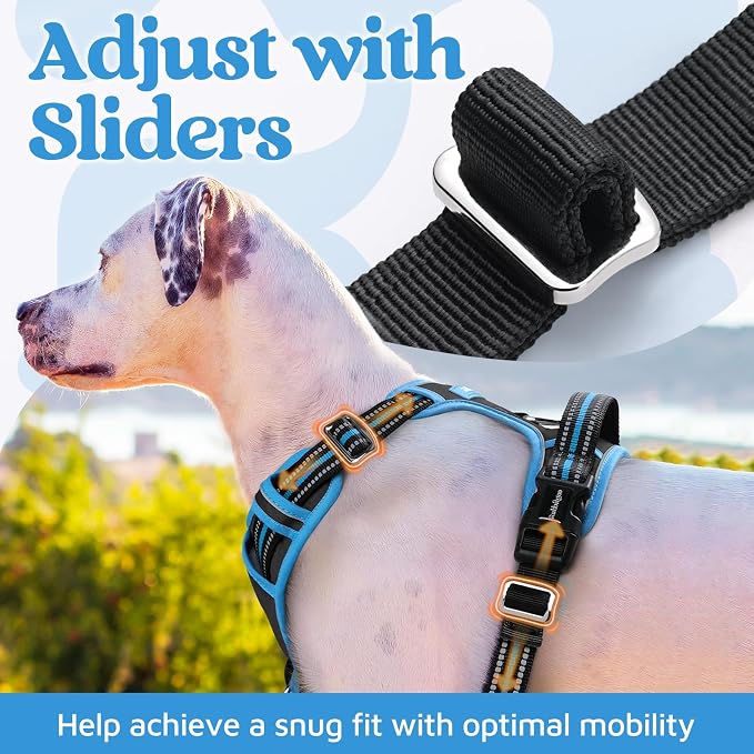 rabbitgoo Dog Harness Small Sized, 3 Buckles Easy On & Off No Pull Pet Vest, Soft Padded Walking Pet Harness with Control Handle, Adjustable and Reflective, Black & Sky Blue, S