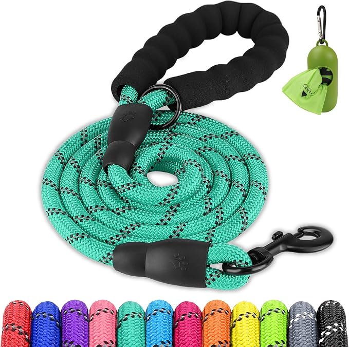 Joytale Dog Leash for Large Dogs, Heavy Duty Nylon Leashes with Comfortable Padded Handle and Highly Reflective Threads, Ideal for Walking and Training, Teal, 6'×1/2''