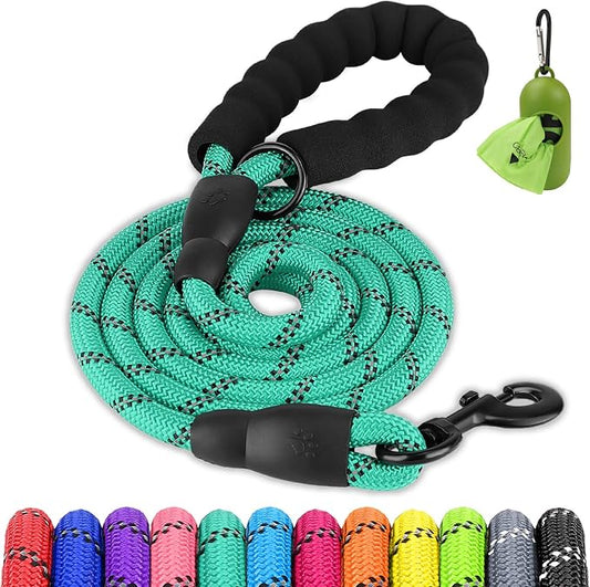 Joytale Dog Leash for Small Dogs, Heavy Duty Nylon Leashes with Comfortable Padded Handle and Highly Reflective Threads, Ideal for Walking and Training, Teal, 5'×3/8''