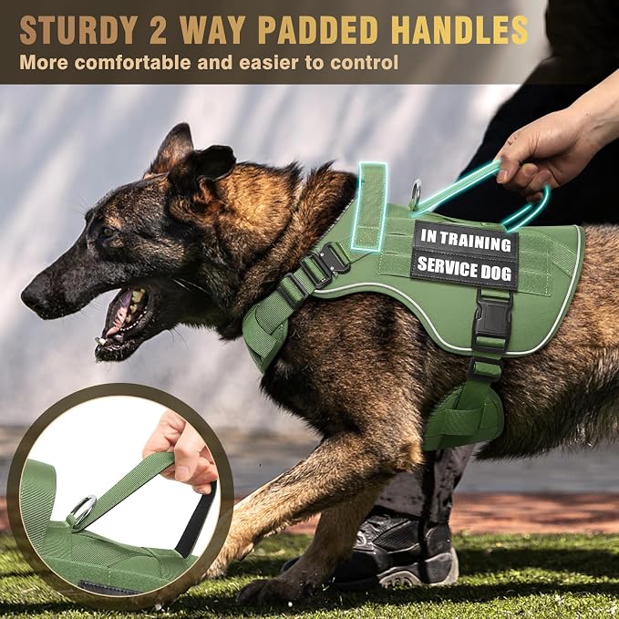 WINSEE Tactical Dog Harness for Medium Dog, Heavy Duty Service Working MOLLE Vest with 10 Pet Patches, 2X Metal Buckle Vest for Training Hunting Walking