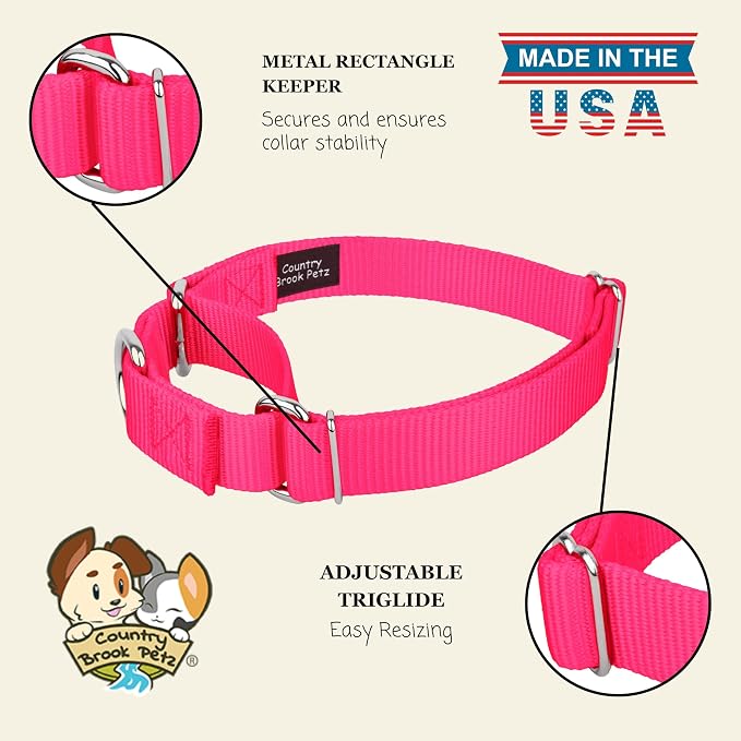 Country Brook Petz - Martingale Dog Collar - Heavy-Duty Training Collar with No Buckle - Service Dog Collar for All Pups - 20 Vibrant Colors (Hot Pink, 1 Inch, Large)