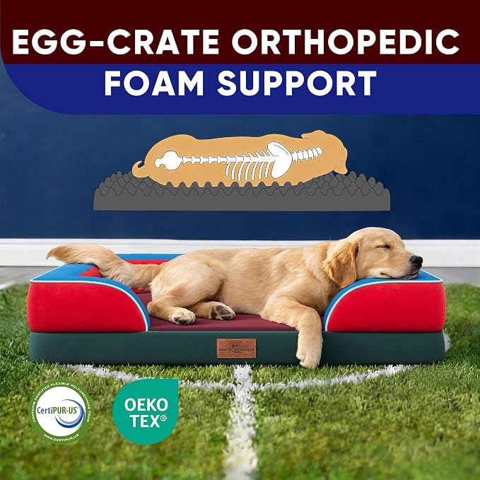 Comfort Expression Orthopedic Dog Bed for Large Dogs 36x27 Inch, Waterproof Egg Crate Foam Large Pet Bed with Bolsters, Dog Couch with Washable Cover & Non-Slip Bottom, San Francisco