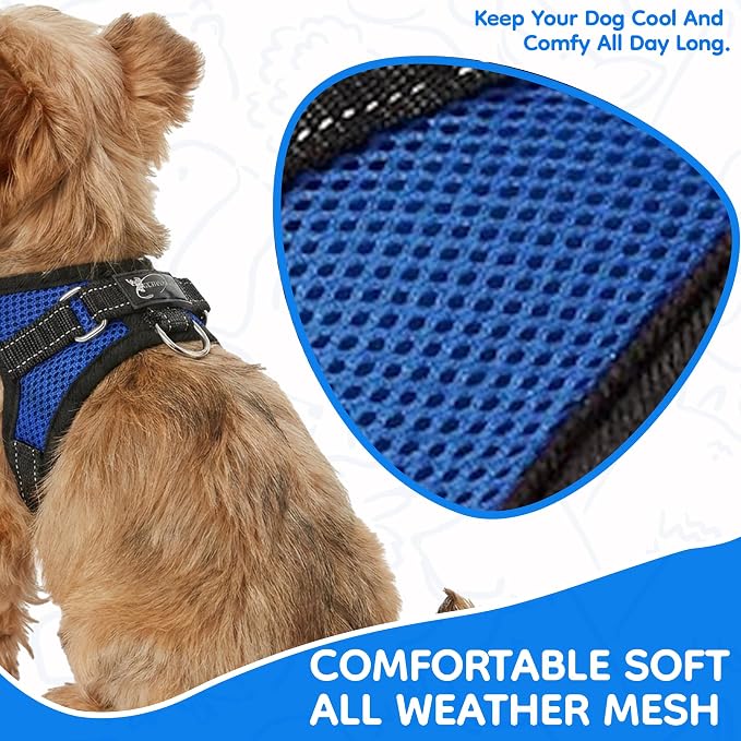 No Pull Reflective Adjustable Dog Harness With Handle- Comfortable Soft All Weather Mesh, Easy On Puppy Harness For Small Medium and Large Dogs (Blue) XX-Small