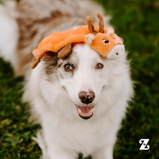 ZippyPaws Squeakie Crawler- No Stuffing Dog Toy to Keep Them Busy, For Small, Medium, & Large Dogs, Squeaky Pet Toy for Boredom, Unstuffed Chew Toy, Soft Plush Puppy Products, SlowPoke the Turtle- 10"