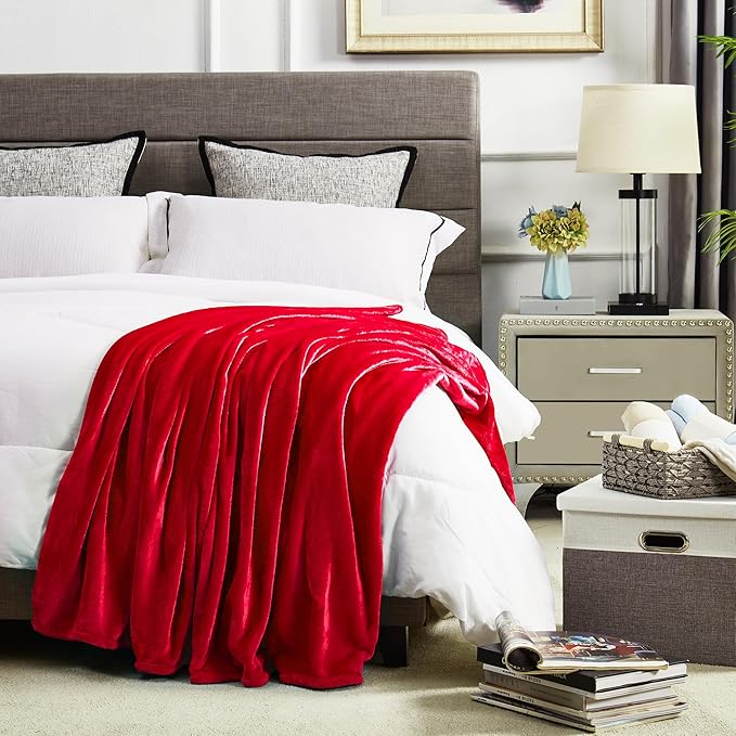 DREAMNINE Ultra Large Soft Fuzzy Flannel Fleece Blanket Queen Size 90" x 90", Decorative Solid Lightweight Fluffy Velvet Bed Blanket,Luxury Big Cute Cozy Shag Plush Microfiber Blankets for Bedroom,Red
