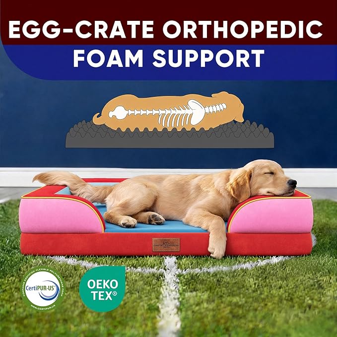 Comfort Expression Orthopedic Dog Bed for Large Dogs 36x27 Inch, Waterproof Egg Crate Foam Large Pet Bed with Bolsters, Dog Couch with Washable Cover & Non-Slip Bottom, Los Angeles