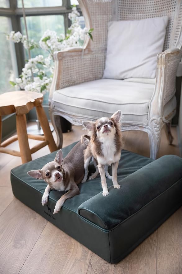NOAH & PAW Dog Bed, 28x23x7.5 Inch, Orthopedic Dog Beds for Medium Size Pets, Eggshell Memory Foam Infused with Cooling Gel, Water Resistant, Machine Washable, Includes Inner Cover (Faux Leather)