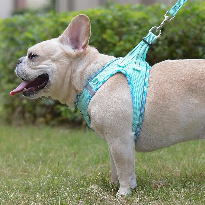 Mercano Soft Mesh Dog Harness and Leash Set, Step-in Reflective Breathable Lightweight Vest Harnesses with Safety Buckle for Small Dogs, Cats (Light Green, XXS)